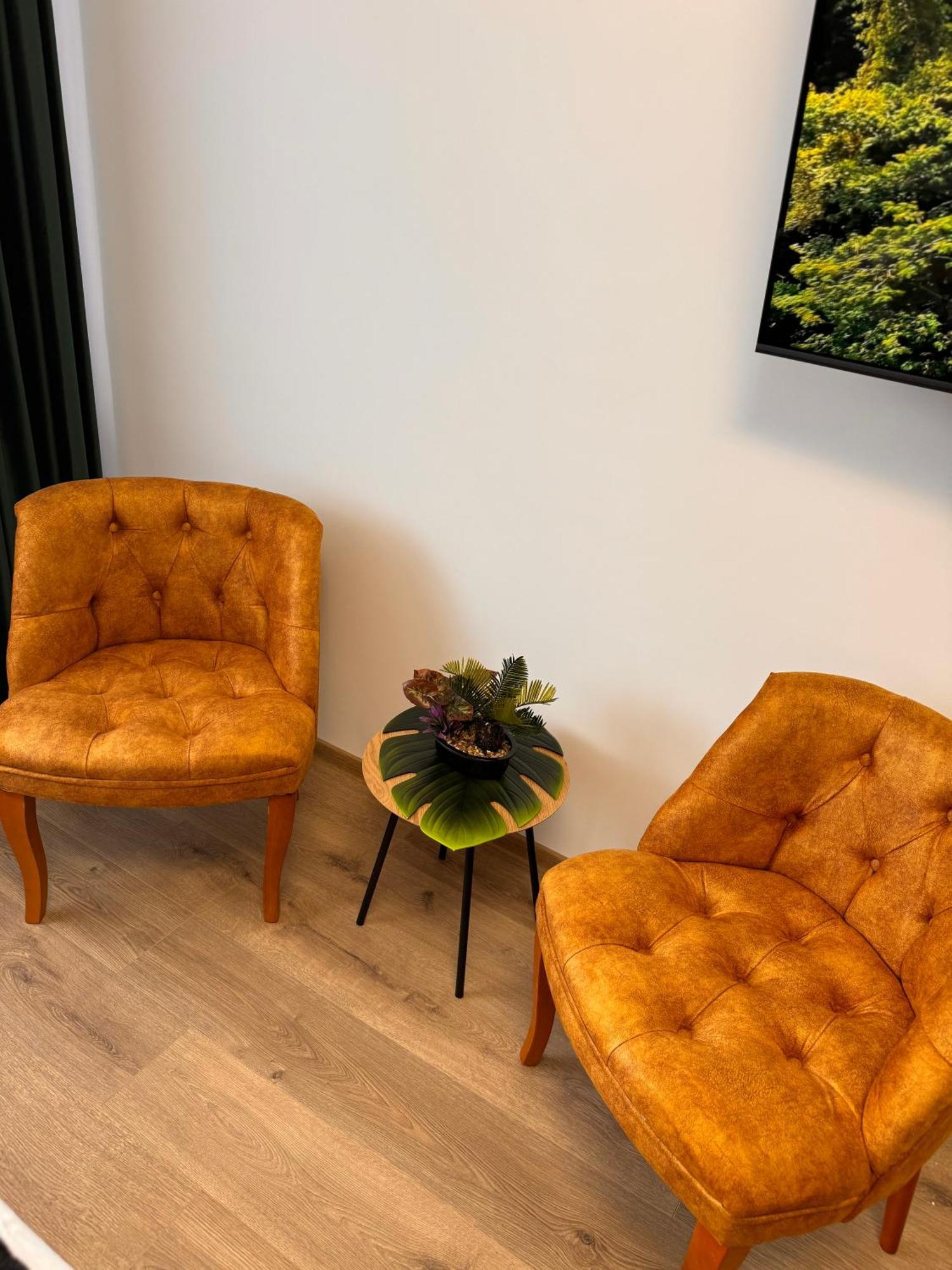 Jungle Loft Lejlighed Suceava Eksteriør billede