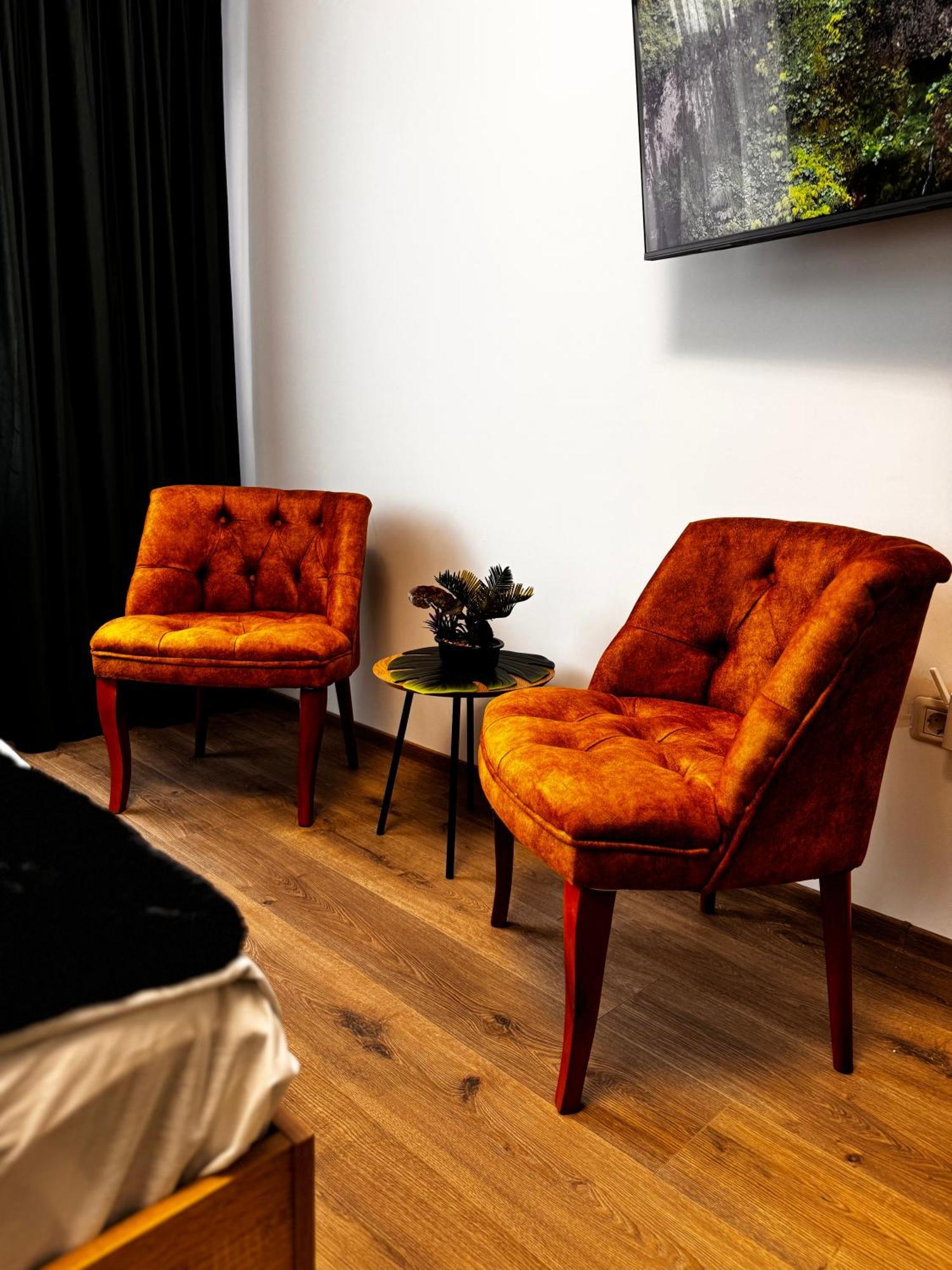 Jungle Loft Lejlighed Suceava Eksteriør billede